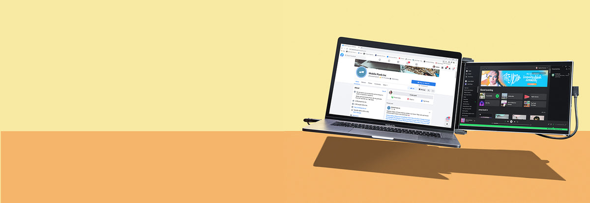 What is a Dual Monitor?