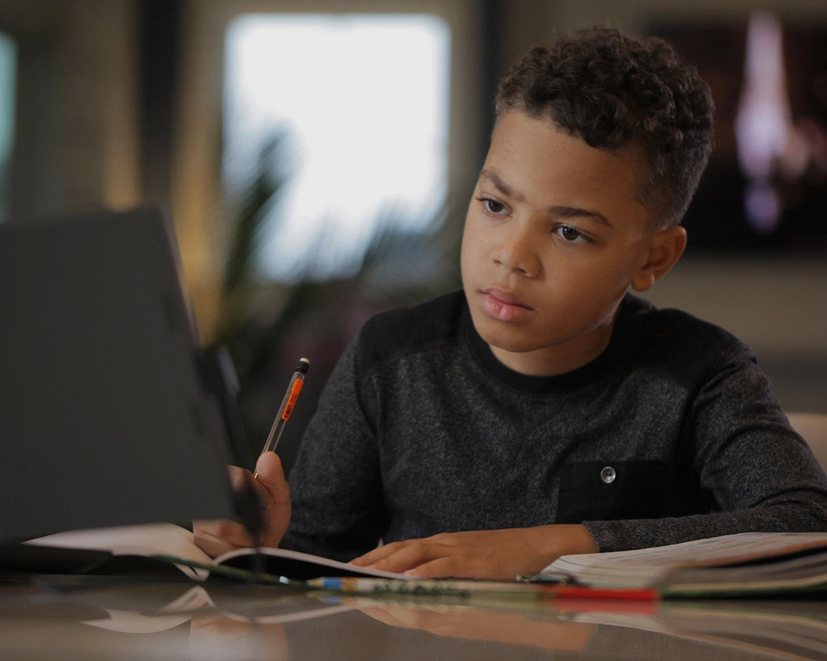 portable Monitor with laptop for learning
